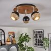 Haldor Plafonnier, Spot de plafond Brun, Chrome, Noir, 3 lumières