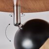 Haldor Plafonnier, Spot de plafond Brun, Chrome, Noir, 3 lumières