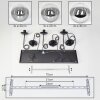 Gastor Suspension, Boule lumineuse, Suspension Clair, Fumé, 8 lumières