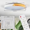 Cadaixo Plafonnier LED Écru, Blanc, 1 lumière, Télécommandes