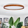 Sofo Plafonnier LED Écru, 1 lumière, Télécommandes