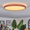 Sofo Plafonnier LED Écru, 1 lumière, Télécommandes