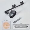 Chehalis Boule lumineuse, Applique murale Ambre, 3 lumières