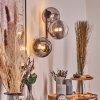 Chehalis Boule lumineuse, Applique murale 33 cm Chrome, Clair, Fumé, 3 lumières