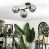 Chehalis Plafonnier, Boule lumineuse Fumé, 3 lumières