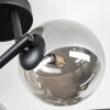 Chehalis Plafonnier, Boule lumineuse Fumé, 3 lumières