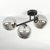Chehalis Plafonnier, Boule lumineuse Fumé, 3 lumières