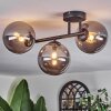 Chehalis Plafonnier, Boule lumineuse Fumé, 3 lumières