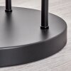 Gastor Lampadaire Noir, 3 lumières