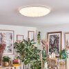 Cyran Plafonnier LED Blanc, 1 lumière, Télécommandes