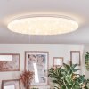 Junor Plafonnier LED Blanc, 1 lumière, Télécommandes