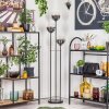 Gastor Lampadaire 30 cm Noir, 3 lumières
