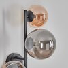 Chehalis Boule lumineuse, Applique murale Ambre, Fumé, 3 lumières