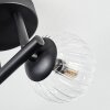 Chehalis Plafonnier, Boule lumineuse Clair, 3 lumières