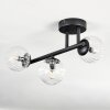 Chehalis Plafonnier, Boule lumineuse Clair, 3 lumières