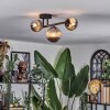 Chehalis Plafonnier, Boule lumineuse Fumé, 3 lumières