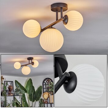Chehalis Plafonnier, Boule lumineuse Blanc, 3 lumières