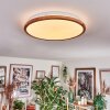 Nogueira Plafonnier, Panel LED Blanc, 1 lumière, Télécommandes
