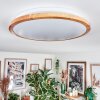 Nogueira Plafonnier, Panel LED Blanc, 1 lumière, Télécommandes