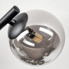 Chehalis Plafonnier, Boule lumineuse Fumé, 3 lumières