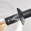 Gastor Plafonnier, Boule lumineuse Ambre, Clair, Fumé, 6 lumières