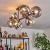 Gastor Plafonnier, Boule lumineuse Clair, Fumé, 8 lumières