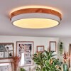Hiral Plafonnier, Panel LED Écru, Blanc, 1 lumière