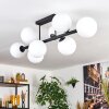 Chehalis Plafonnier, Boule lumineuse Blanc, 8 lumières