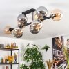 Gastor Plafonnier, Boule lumineuse Ambre, Fumé, 10 lumières