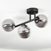 Chehalis Plafonnier, Boule lumineuse Fumé, 3 lumières