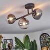 Chehalis Plafonnier, Boule lumineuse Clair, Fumé, 3 lumières