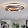 Rapoila Plafonnier LED Couleur bois, Noir, 1 lumière