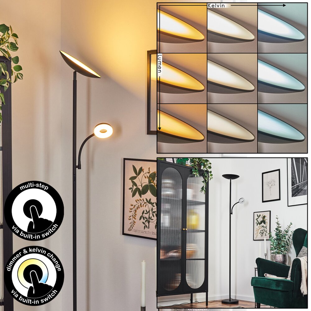 Dillingby Lampadaire LED Noir, 2 lumières main product photo
