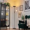 Dillingby Lampadaire LED Noir, 2 lumières