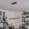 Fugelsta Suspension, Suspension LED Noir, 1 lumière