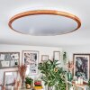 Nogueira Plafonnier, Panel LED Écru, Blanc, 1 lumière, Télécommandes