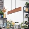 Fugelsta Suspension, Suspension LED Noir, 1 lumière