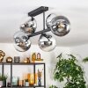 Gastor Plafonnier, Boule lumineuse Chrome, Clair, Fumé, 6 lumières