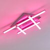 Plafonnier Eriz LED Nickel mat, 4 lumières, Télécommandes, Changeur de couleurs