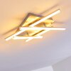 Plafonnier Eriz LED Nickel mat, 4 lumières, Télécommandes, Changeur de couleurs