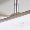 Plafonnier Eriz LED Nickel mat, 4 lumières, Télécommandes, Changeur de couleurs