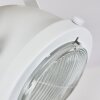 Plafonnier Herford Écru, Blanc, 1 lumière