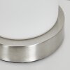 Lampe de table Youd Nickel mat, 1 lumière