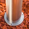 Borne lumineuse TOLSONA Acier inoxydable, 1 lumière