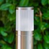 Borne lumineuse TOLSONA Acier inoxydable, 1 lumière
