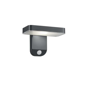 Applique murale Reality Esquel LED Anthracite, 1 lumière, Détecteur de mouvement Applique murale Reality Esquel LED Anthracite, 1 lumière, Détecteur de mouvement