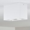 Plafonnier Baishan LED Blanc, 2 lumières