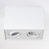 Plafonnier Baishan LED Blanc, 2 lumières