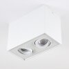 Plafonnier Baishan LED Blanc, 2 lumières
