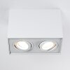 Plafonnier Baishan LED Blanc, 2 lumières